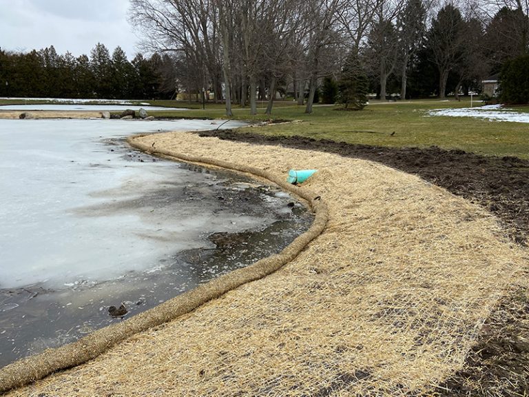Restored Pond Edge in Winter