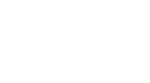 Little Hawks Discovery Logo White