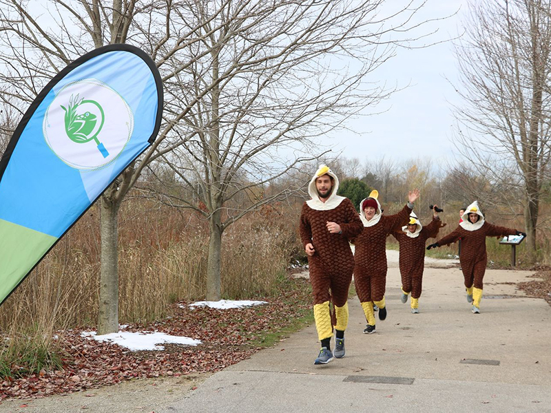 Trail runners dressed up as birds for migratory 5k
