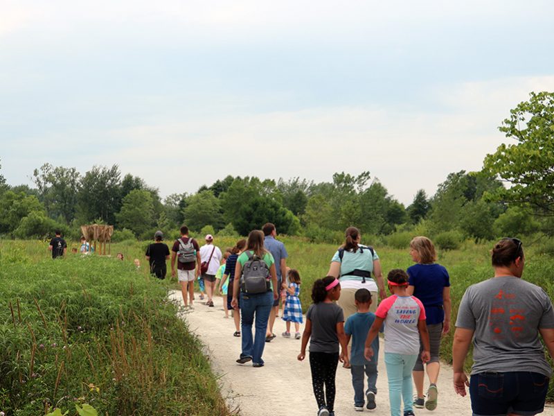 Visitors walking along trail through meadow