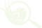 ODC_Logo_Frog_Mac_Glass_Explorer
